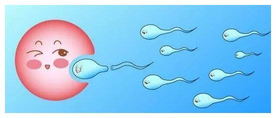 济南红十字不孕不育