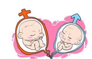 泰国试管婴儿多少