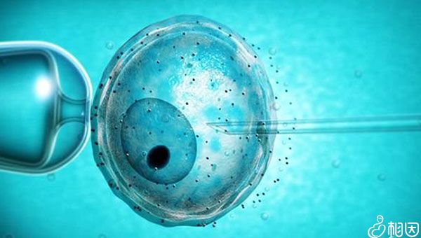 泰国龙凤胎试管婴儿