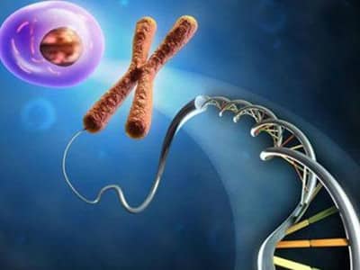 海南省海口市助孕公司