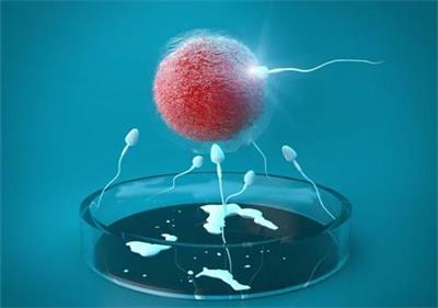 泰安不孕不育医院