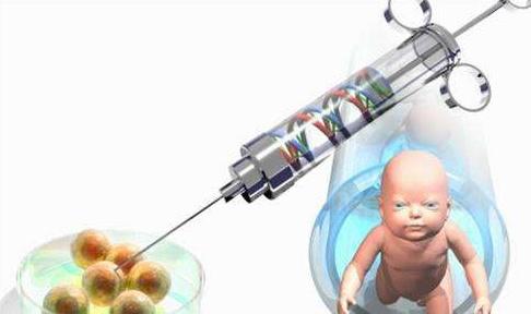 泰国赠卵试管婴儿