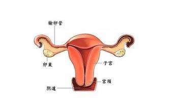 济南不孕不育医院排名