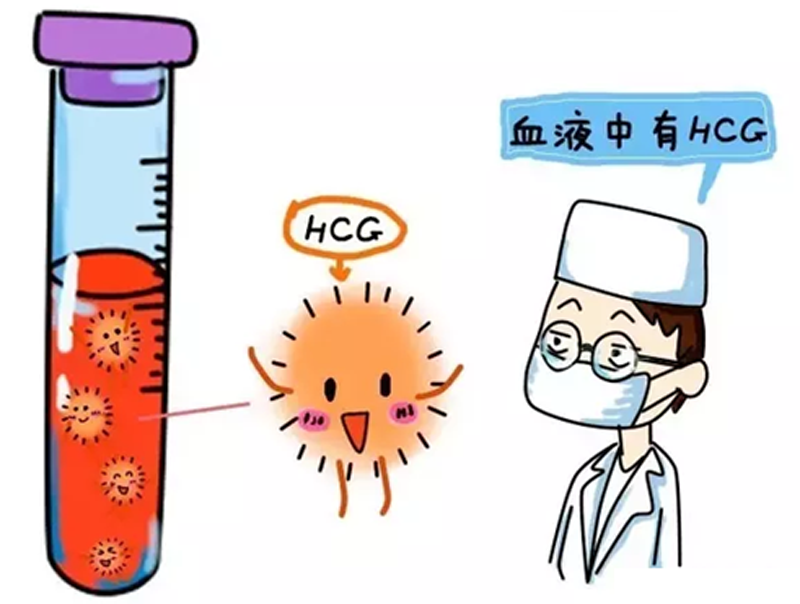 海外试管婴儿费用