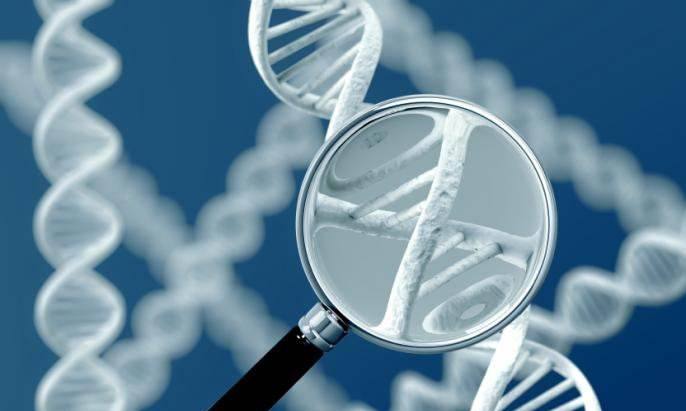 海东市试管婴儿