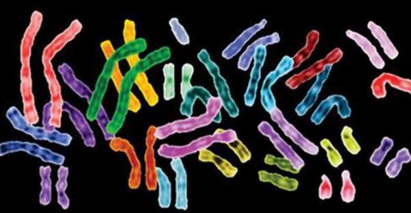 海军总医院试管婴儿