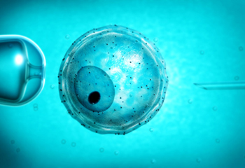 海外试管婴儿服务公司