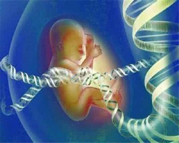 海外试管婴儿医院